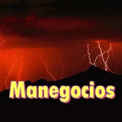 manegocios